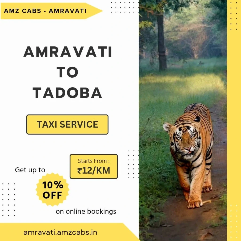 Amravati to Tadoba Taxi